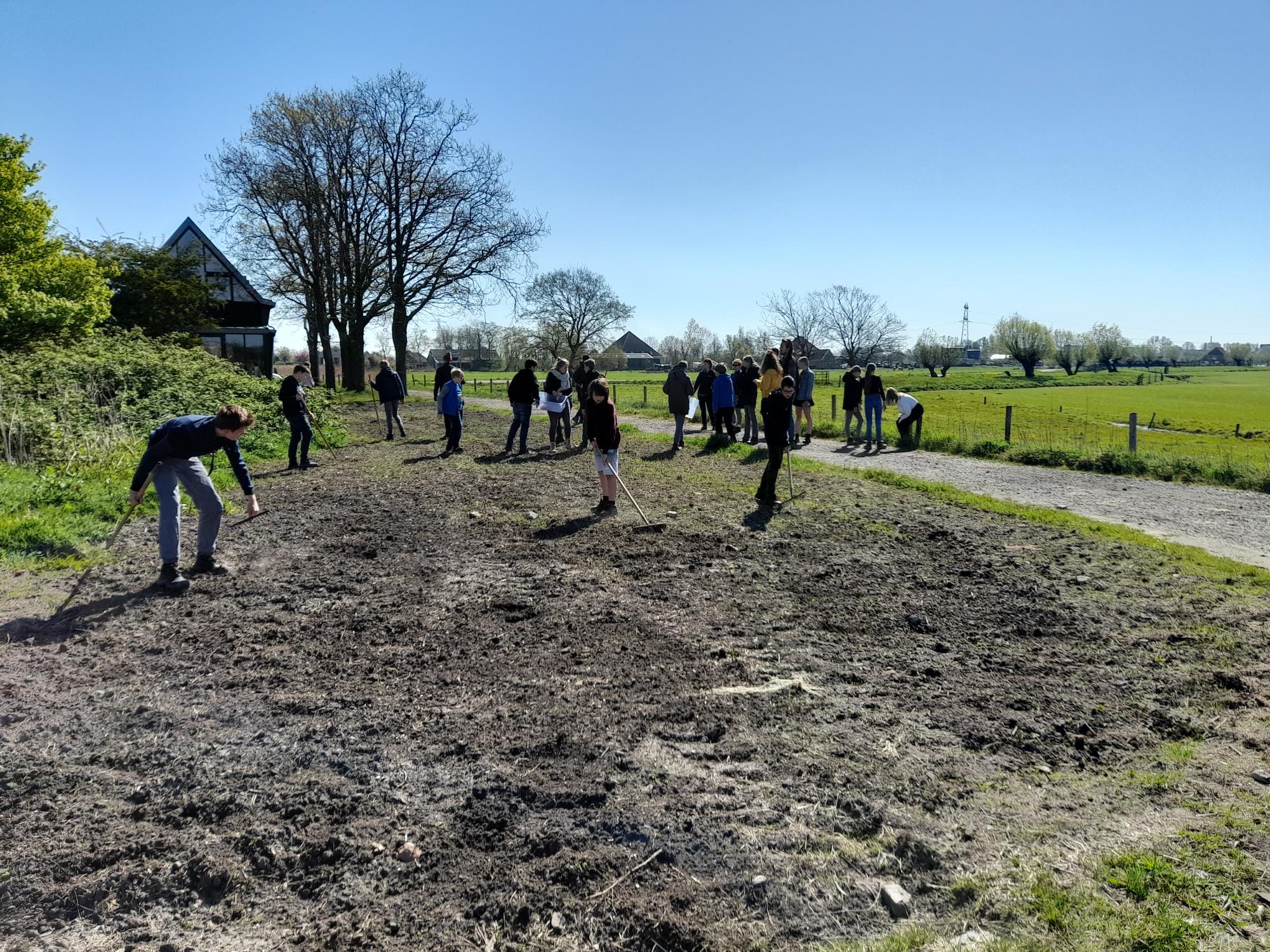 Leerlingen lopen door weiland 