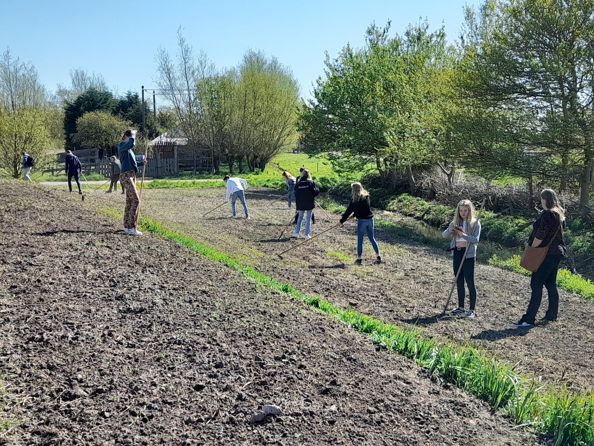 Leerlingen lopen door weiland 