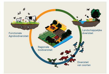 Biodiversiteit - Vonk mbo-opleiding Veehouderij