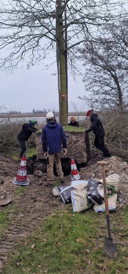 Boomwerkzaamheden op Landgoed Hoenderdaell - leren in het landschap - Smart Future - Vonk