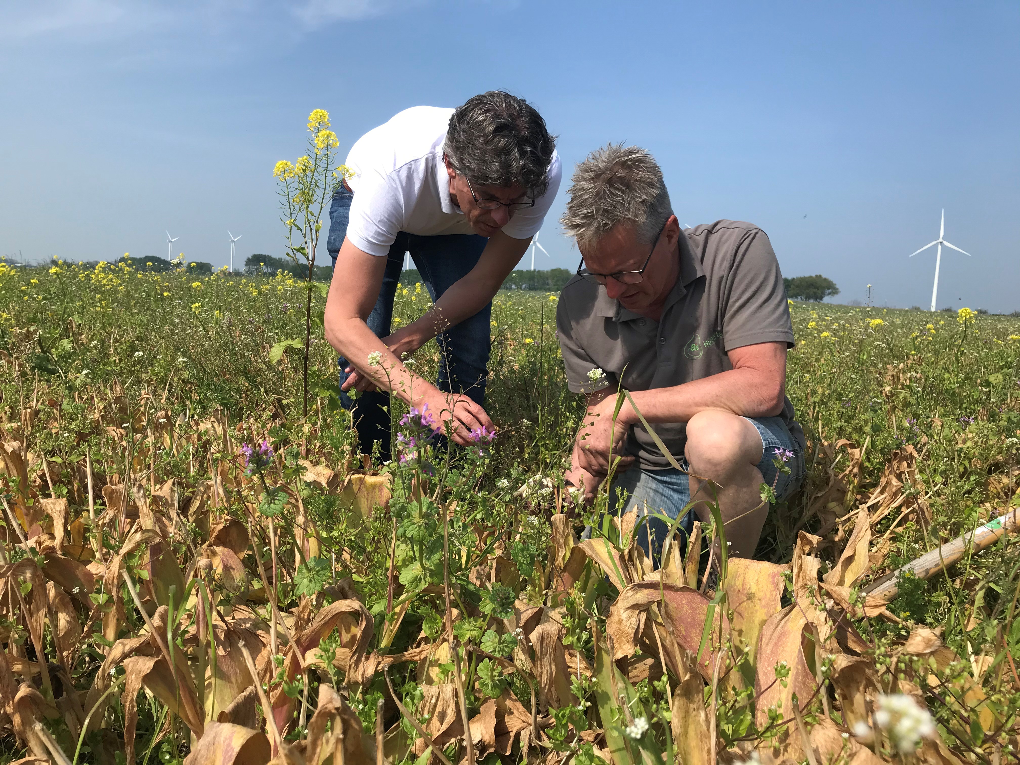 2 mensen bekijken een plant