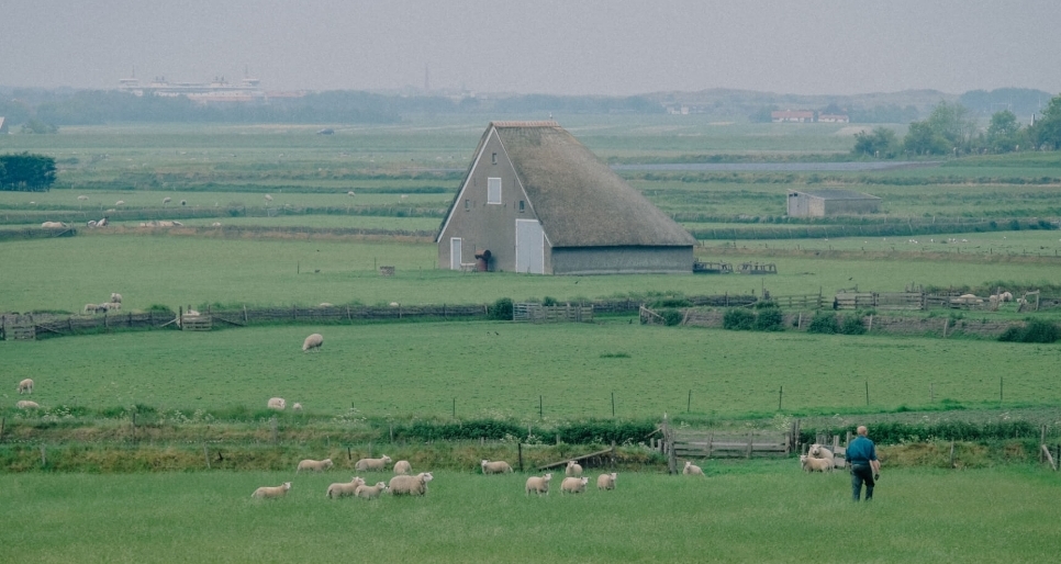 SLO project Biodivers Perspectief - Omgeving