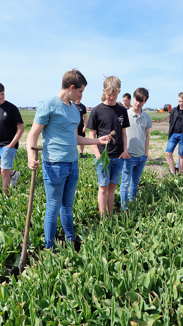 Vonk studenten Plantenteelt op land