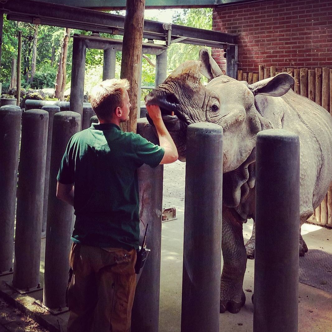 Student dierverzorging Vonk bij Dierenpark Amersfoort