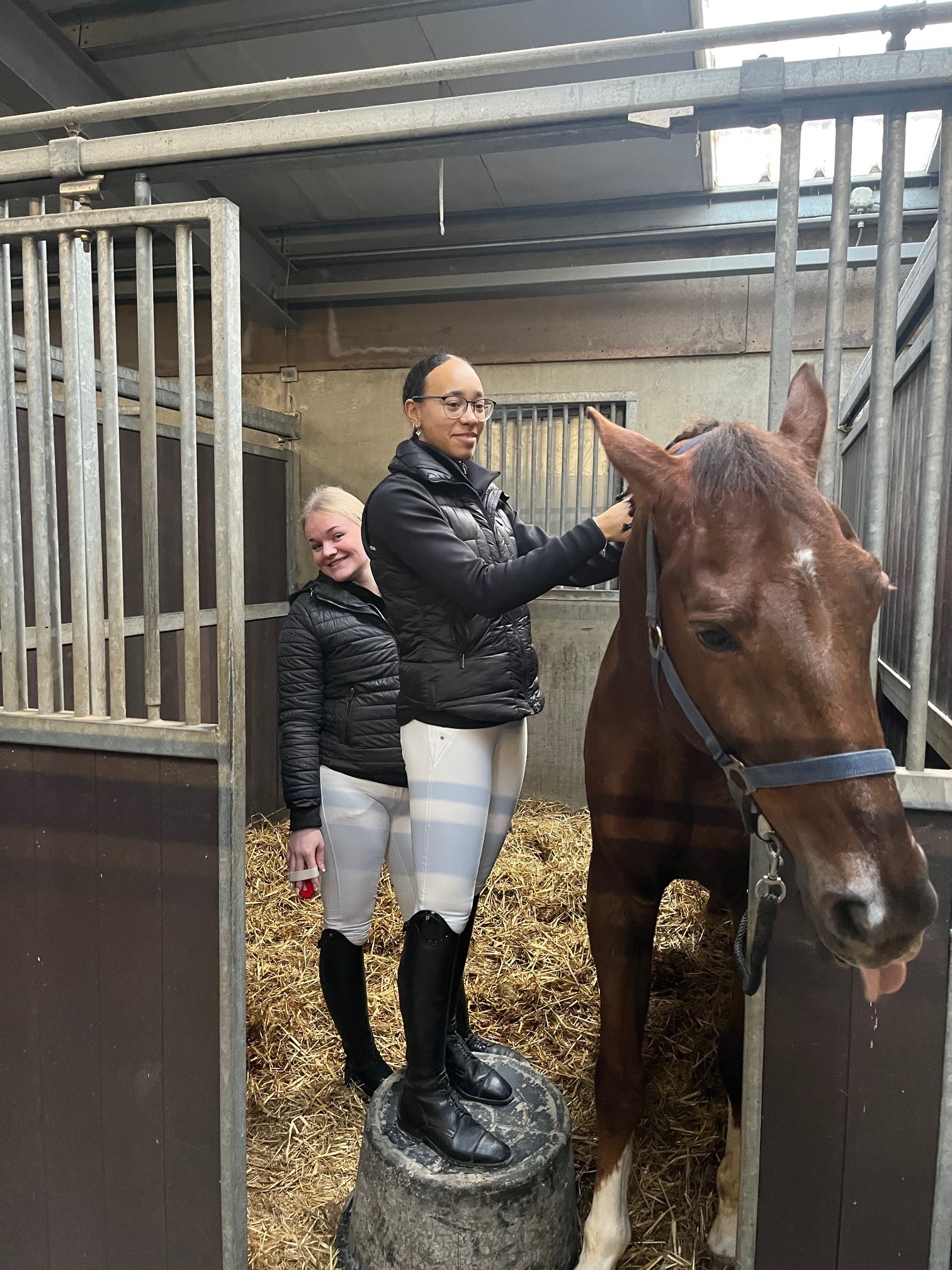 Voorronde landelijke vakwedstrijd Paardenhouderij - Vonk