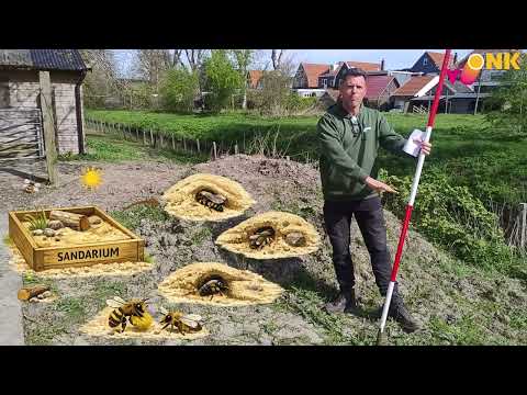 Bekijk onze video