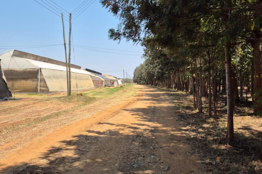 Buitenlandse stage mbo-opleiding Plantenteelt in Kenia- Vonk