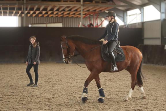mbo paard 2.jpg
