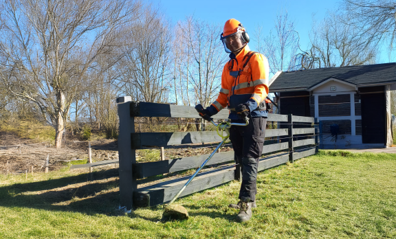 Cursus bosmaaien Hoorn Noord-Holland - Vonk
