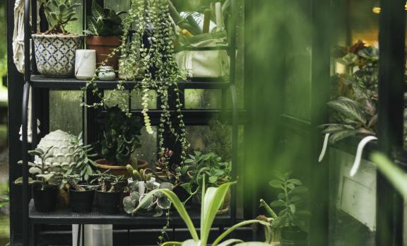 Cursussen Kunst, creatief en interieur - Vonk